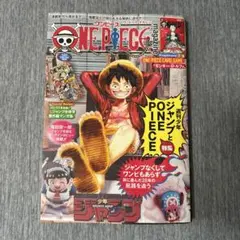 ワンピースマガジン 付録なし