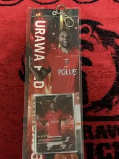 浦和レッズ 99番 イサーク キーセ テリン選手