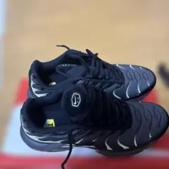 NIKE AIR MAX PLUS ブラック26センチ