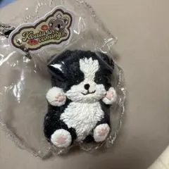 Koala is coming マスコット チャーム
