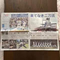 大谷翔平新聞記事　MVP