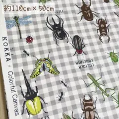KOKKA コッカ 昆虫 カブトムシ 男の子 オックス 生地 はぎれ メルカリ便