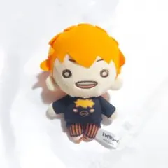 2025年最新】日向翔陽 ぬいぐるみ にとたんの人気アイテム - メルカリ