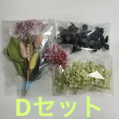 ✳️プリザーブドフラワー 詰め合わせ Ｄ