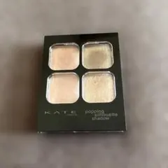 ケイト　ポッピングシルエットシャドウPK-1