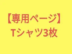 【専用ページ】キッズTシャツ　3枚まとめ