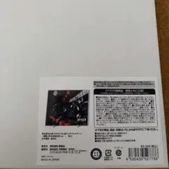 新品未開封 カグラバチ 箔入りアクリルアート 連載1周年突破記念 Ver