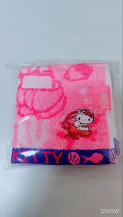 Item thumbnail for item 1250745b-2523-43a4-aca2-65e9ad5be970