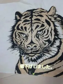 Item thumbnail for item e2c5e470-7de4-455e-8fcc-a6e3d55e0d1e