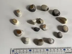 2026年最新】拾った石の人気アイテム - メルカリ