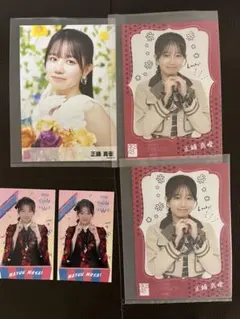 Item thumbnail for item 57a83b49-32c6-42e8-a52f-c8db3e90b34b