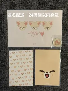 straykids アイエン　ポップアップ　入場特典　セット　缶バッジ