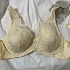 ダイアナ ダイアジェンヌ ブラ F75 ボディメイク 未使用保管品 - メルカリ