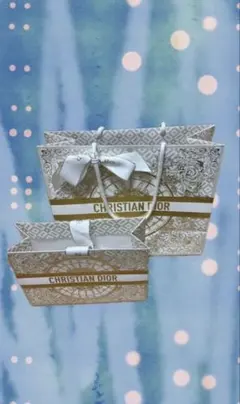 CHRISTIAN DIOR ギフト袋 大小セット