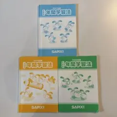SAPIX 言葉ナビ 上巻・下巻 2冊セット 中学受験 - メルカリ