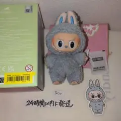 seasalt coconuts Exciting Macaronラブブ