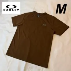 Item thumbnail for item 200e1f33-918b-462c-a7a3-59809fa569b9