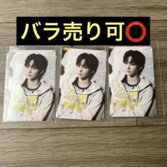 ALD1 EUPHORIA COIN NECKLACE トレカ アンシン