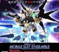 ガンダムカードゲーム フォースインパルスガンダム & EXリソース