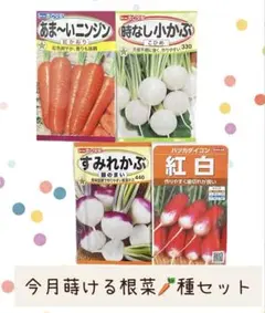 moka プロフ必読お願いします！様 リクエスト 2点 まとめ商品