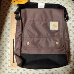 Item thumbnail for item ad61e0d1-24f4-4bc9-a496-b0ed76be65b4