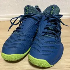 フュージョンレブ