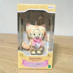 フェネックの男の子 ネココスチューム