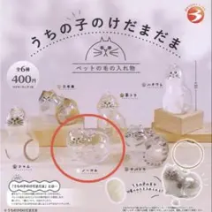 132 ガチャ　正規品　うちの子のけだまだま　ノーマル⑤