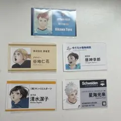 ハイキュー!! 名刺風カード 星海光来 清水潔子 昼神幸郎 谷地仁花 及川徹5枚