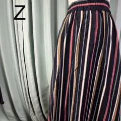Z ストライプ フレアロングスカート ブラック系 ウエスト総ゴム入り カジュアル