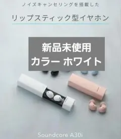 Soundcore A30i ワイヤレス イヤホン 新品未使用