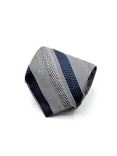 良品✨ ヴァレンティノ　ガラヴァーニ ネクタイ シルク シルバー 1689