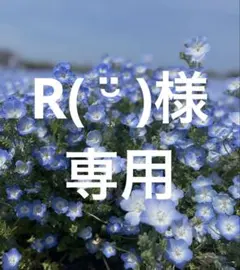 R( ¨̮ )様専用