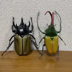 いきもの大図鑑 かぶとむしゴホンヅノカブト カブトハナムグリ　フィギュア