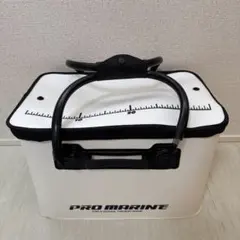 Item thumbnail for item e5408ebe-61f0-49af-8f86-bbec45e4c5b2