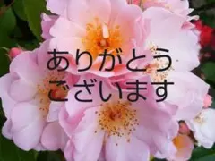 ☆ばあば様専用ページ☆【新品】＊大きいサイズ＊チュニック＊後花柄＊エンジ色＊Ｌ＊