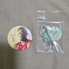 三遠ネオフェニックス ヤンテ・メイテン