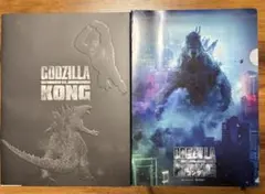 GODZILLA vs KONG パンフレット/ファイル