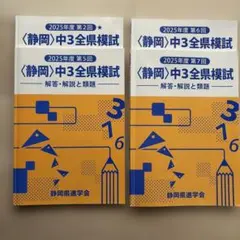 2026年最新】佐鳴 模試の人気アイテム - メルカリ