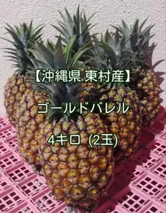 【沖縄県 東村産】ゴールドバレル 4キロ (2玉)のサムネイル