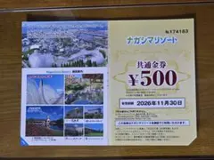 ナガシマリゾート 共通金券 500円券のサムネイル