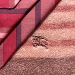 BURBERRY 赤系ストライプハンカチ　タオルハンカチの2枚 新品未使用