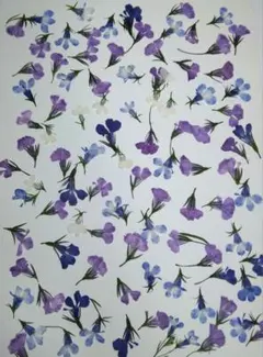 Chou Chou様 リクエスト 3点 まとめ商品