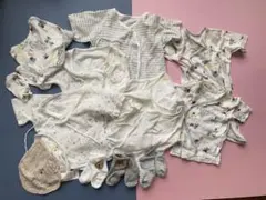 Item thumbnail for item 7757d84a-2a60-4800-bec6-f5b2f7a078ce