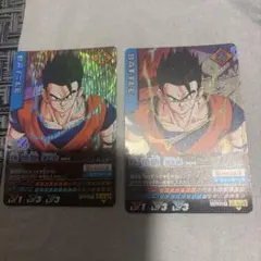 ドラゴンボールZ データカードダス　孫悟飯 2枚セット
