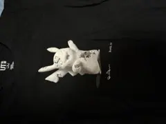 ダニエル・アーシャム UNIQLO ポケモン コラボTシャツ Mピカチュウ