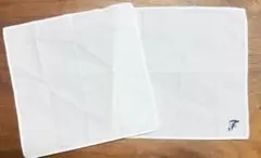 Item thumbnail for item f551b542-37dc-44d0-8daa-8d995d92269c