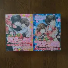 世界一初恋 DVD 全12巻セット 1期 2期 プロポーズ編、横澤隆史の場合