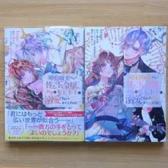 婚約破棄された替え玉令嬢、初恋の年上王子に溺愛される@COMIC 1〜2