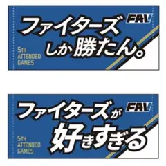 日本ハム ファイターズ 2024 メッセージタオル 2枚セット